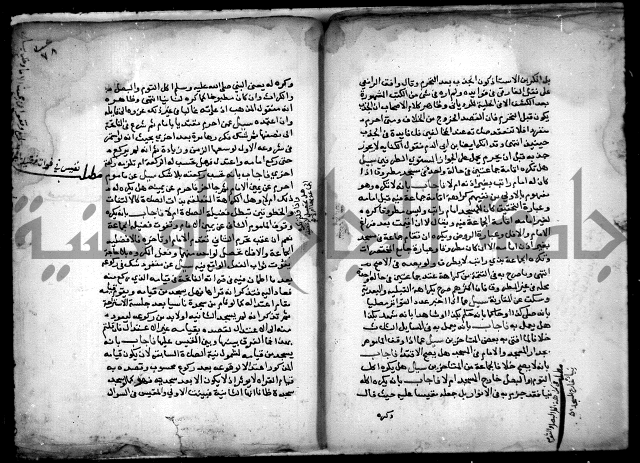 مجهول فتاوى