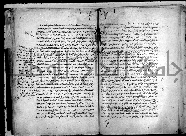 نهاية المحتاج الى شرح النهاج 2