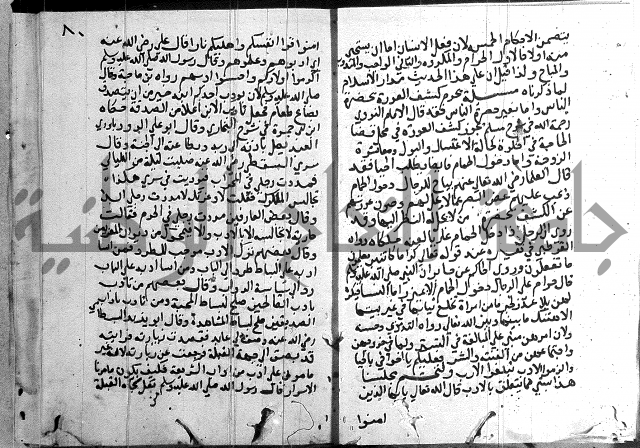 المجالس السنية-كتاب شرح الاربعين نووية