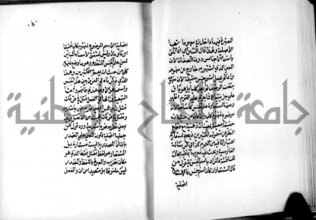 الرسالة البيانية