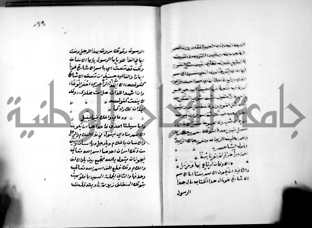 شرح شذور الذهب في معرفة كلام العرب 