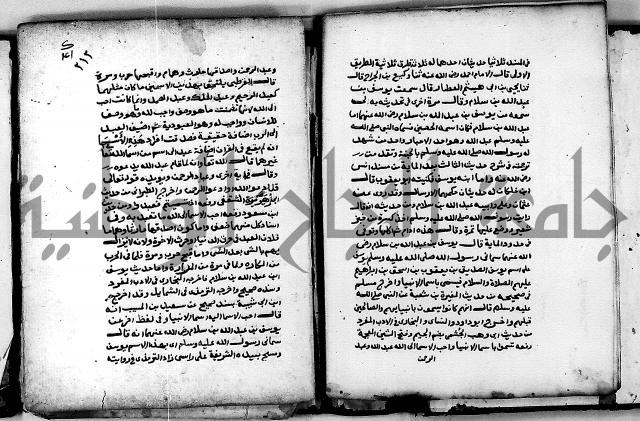 شرح ثلاثيات المسند ج 2 