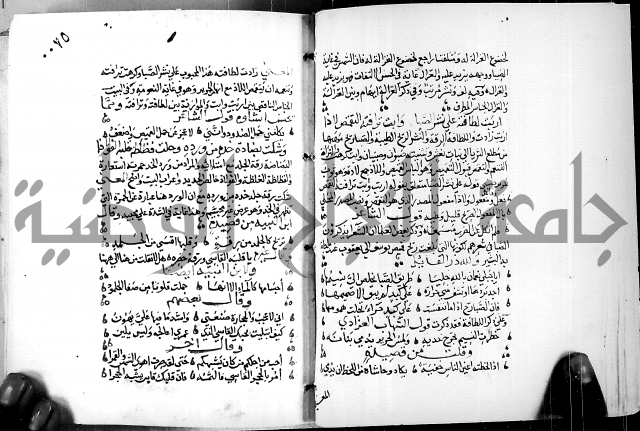 البحر الفائض في شرح ديوان ابن الفارض البوريني 