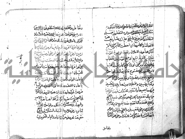 التفنن في الصرف