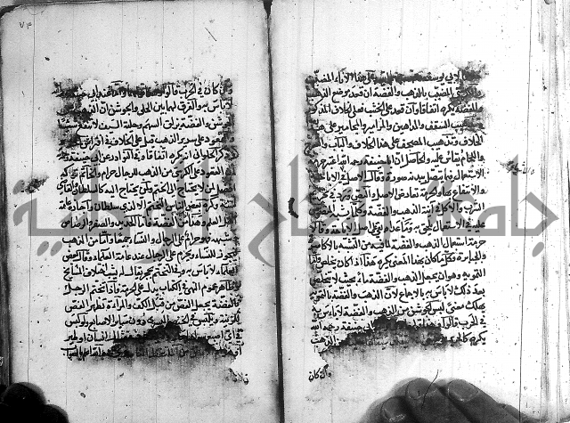 رسالة في الاحتساب