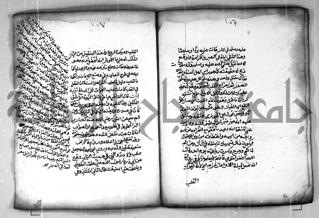 شرح الهمزية  