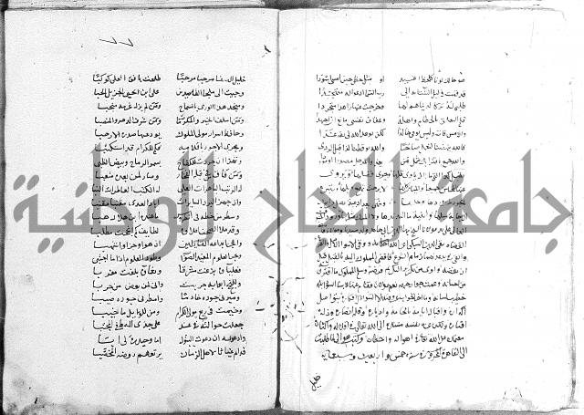 كتاب في الادب 