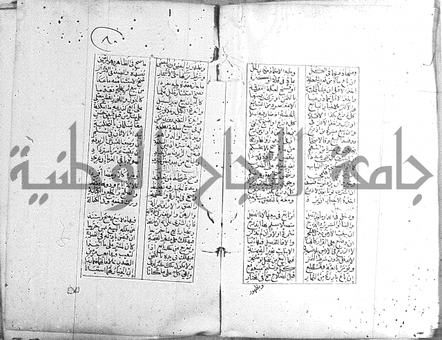 خلاصة التنوير 