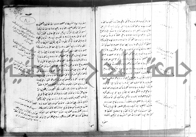 كتاب بالتركية