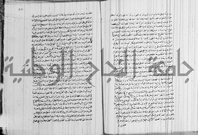 تنبية الغافل