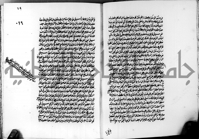 الجواهر الدورية في تنقيح الفتاوى الحامدية ج2 