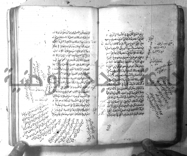 شرح الشافية 