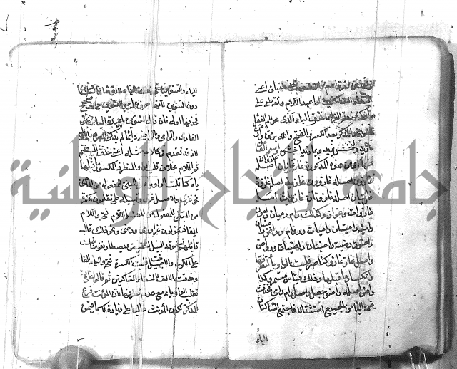 التفنن في الصرف