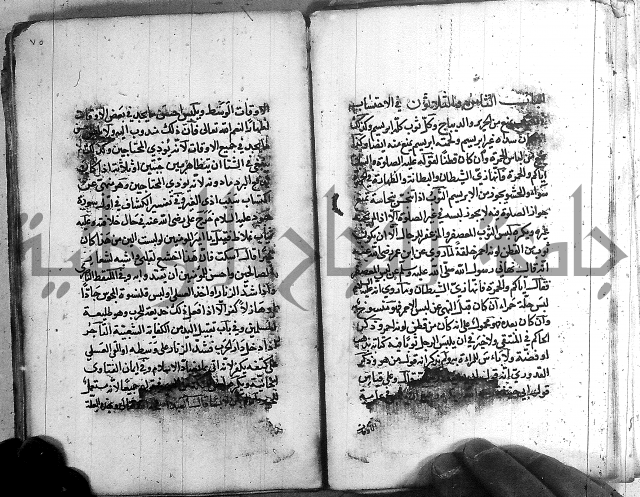 رسالة في الاحتساب