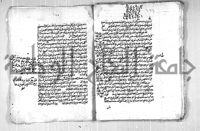 فتح الجليل  على شرح ابن عقيل 