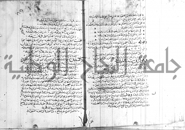 شرح لامية العجم 