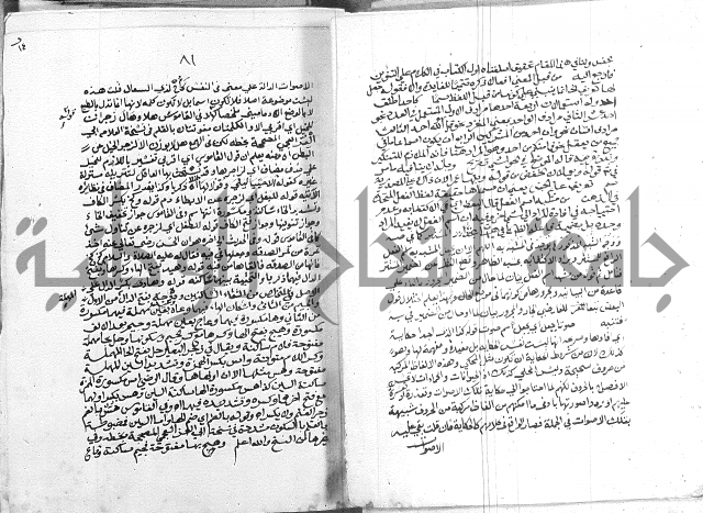 كتاب في اللغة العربية