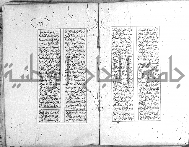 خلاصة التنوير 