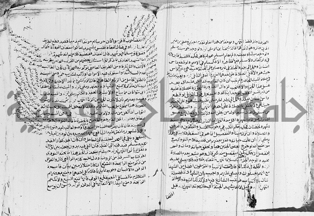 الزيادي على المنهج 