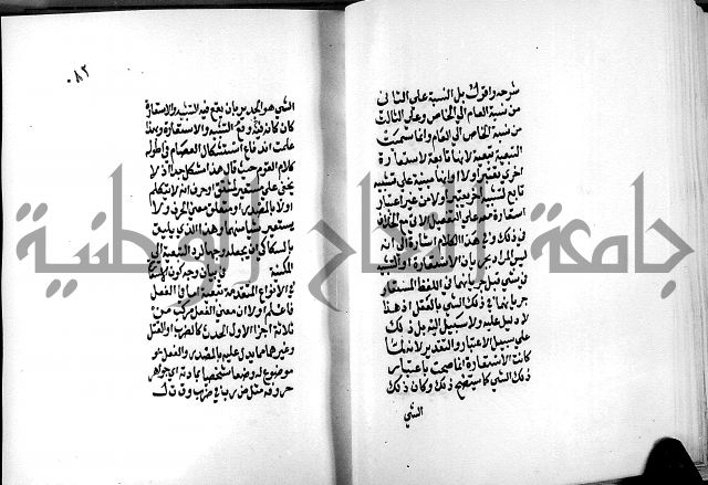 الرسالة البيانية