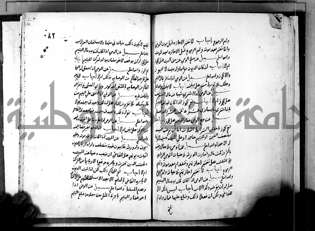 الفتاوى الامينية