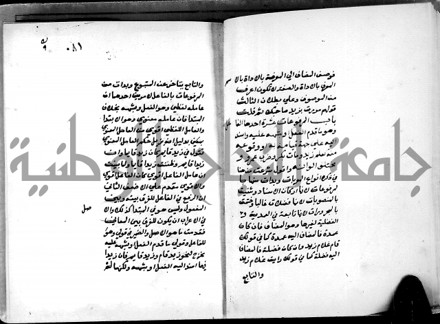 شرح شذور الذهب في معرفة كلام العرب 