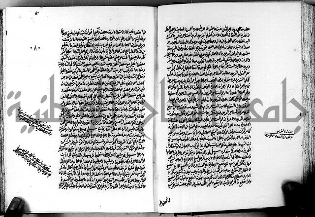 الجواهر الدورية في تنقيح الفتاوى الحامدية ج2 