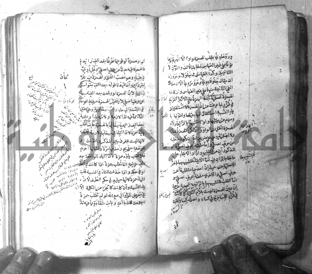 شرح الشافية 