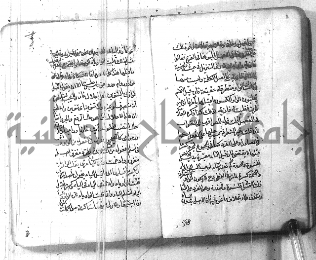 التفنن في الصرف