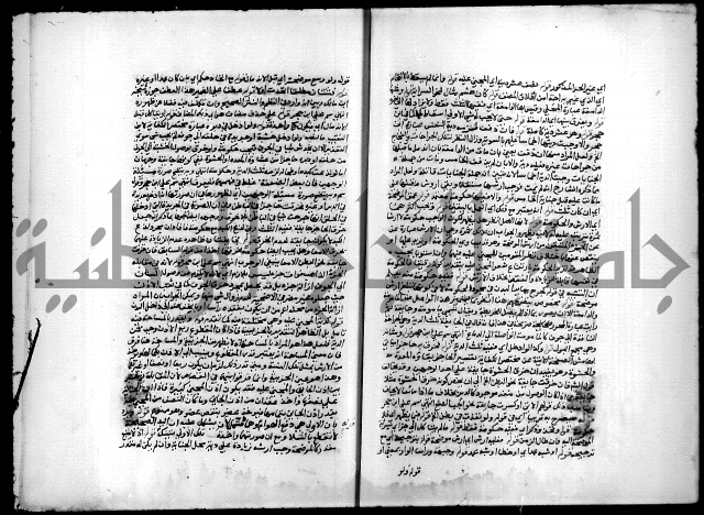 مجهول فقة 55