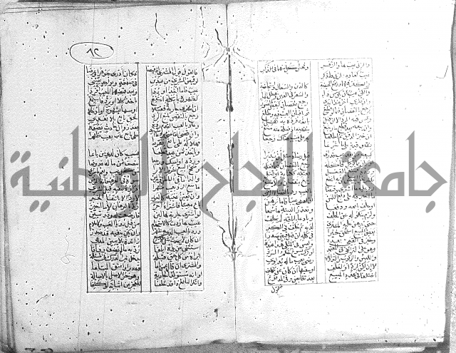 خلاصة التنوير 