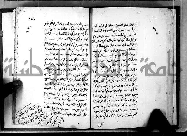 الفتاوى الامينية