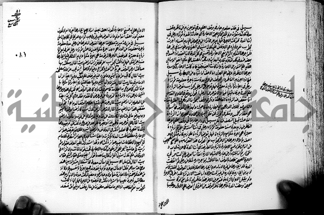 الجواهر الدورية في تنقيح الفتاوى الحامدية ج2 