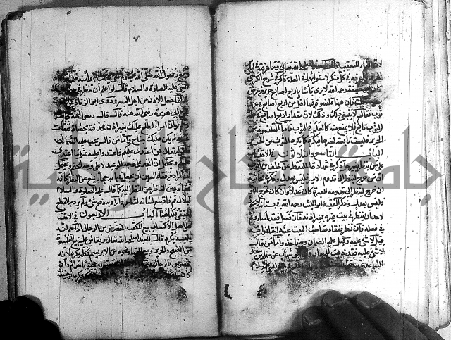 رسالة في الاحتساب
