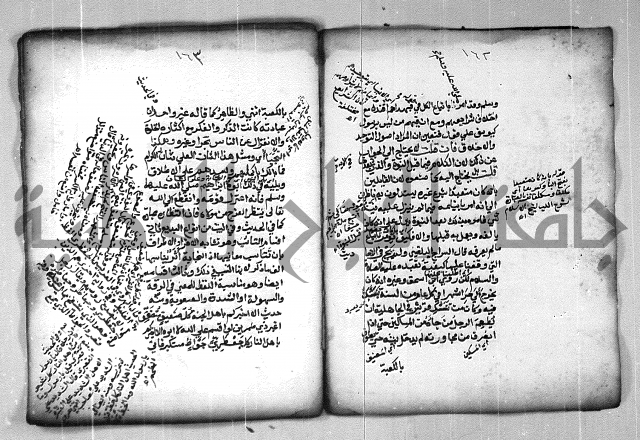 شرح الهمزية  