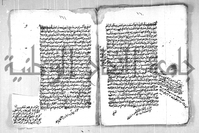 فتح الجليل  على شرح ابن عقيل 