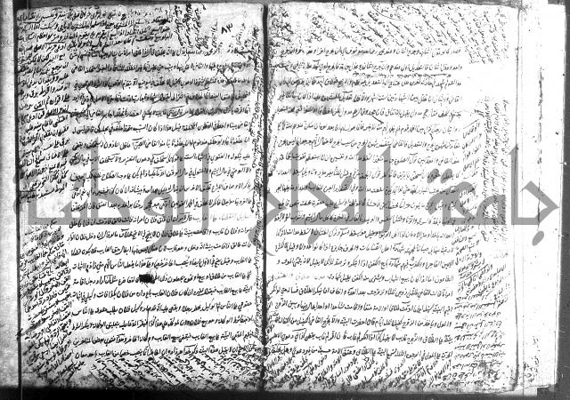 منية الفتى 