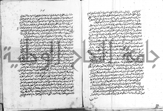 كتاب في اللغة العربية