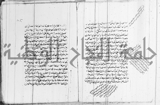 نحو - شرح الكافية