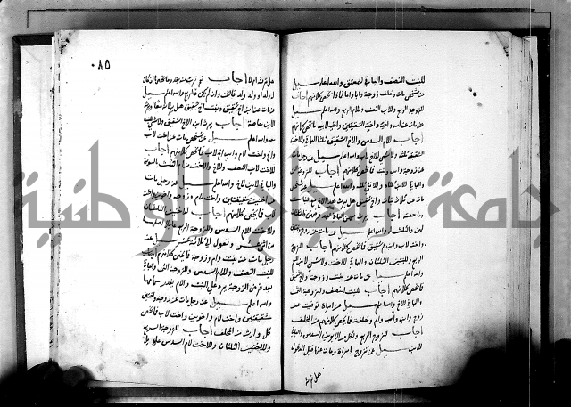 الفتاوى الامينية