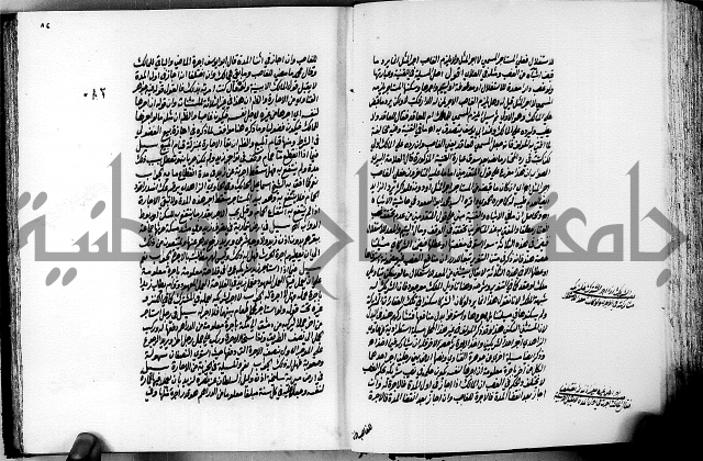 الجواهر الدورية في تنقيح الفتاوى الحامدية ج2 