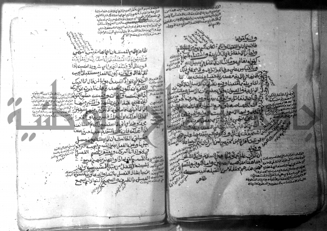 شرح الاشموني على الافية