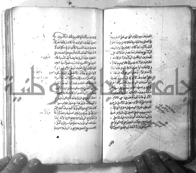 شرح الشافية 