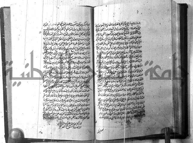 الطريقة المحمدية 