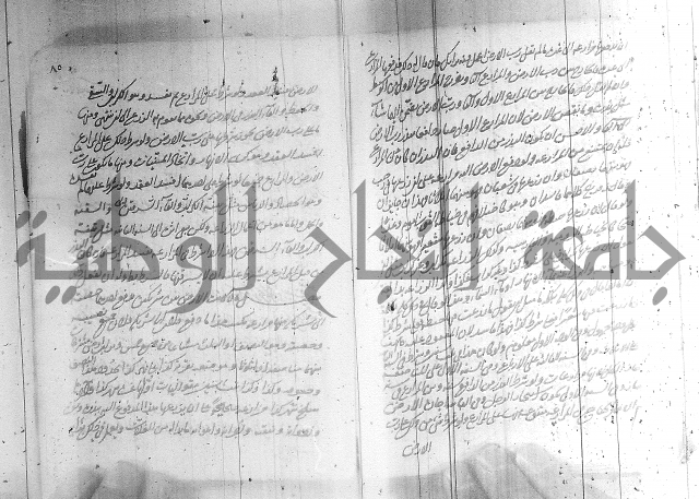 البسيط في الشروط