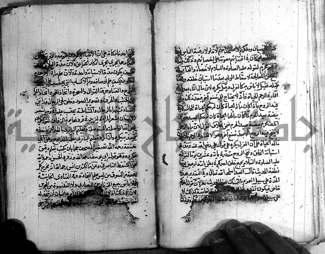 رسالة في الاحتساب