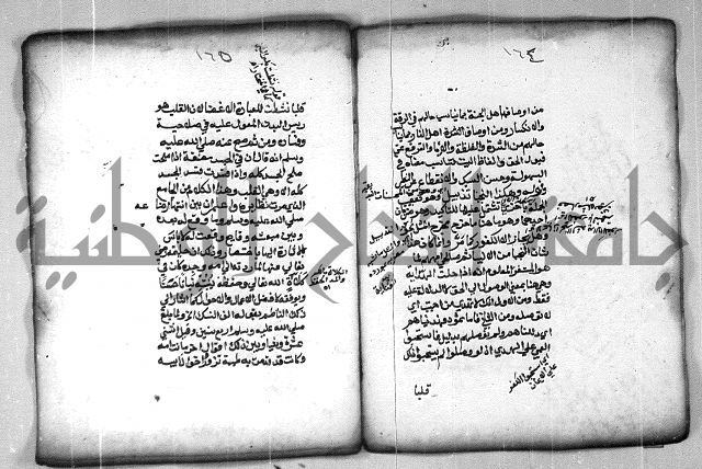 شرح الهمزية  