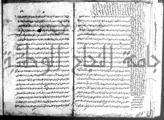 منية الفتى 