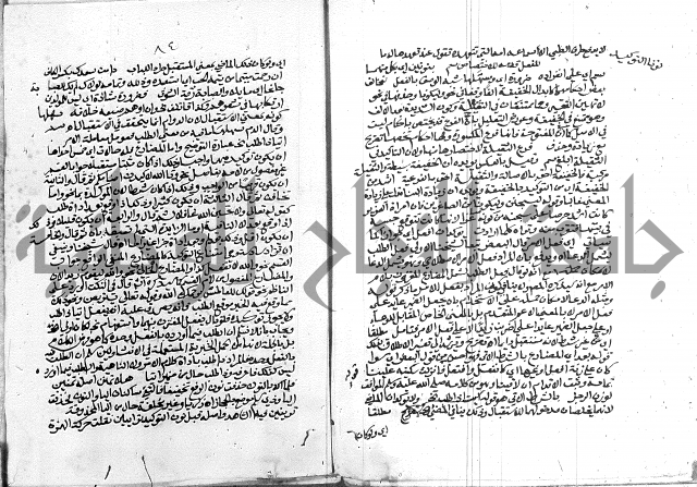 كتاب في اللغة العربية