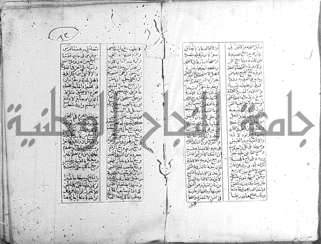 خلاصة التنوير 